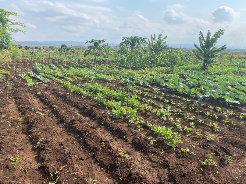 Impulsando la Resiliencia Ambiental y Social en Mozambique