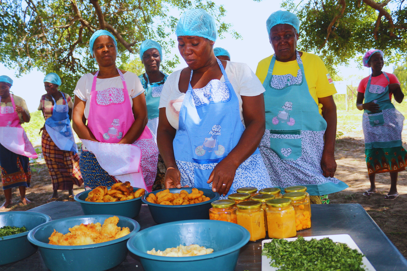 Impulsando la Resiliencia Ambiental y Social en Mozambique