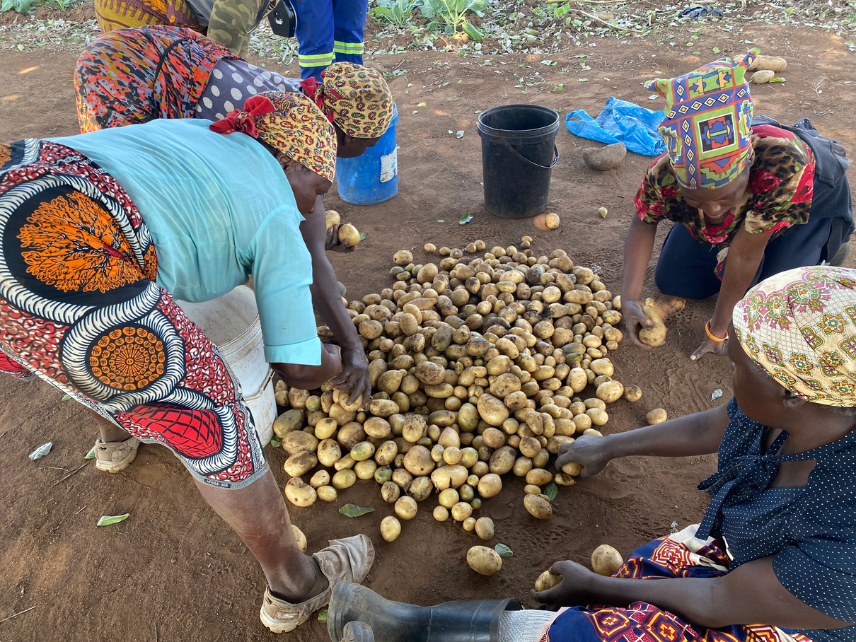 Impulsando la Resiliencia Ambiental y Social en Mozambique
