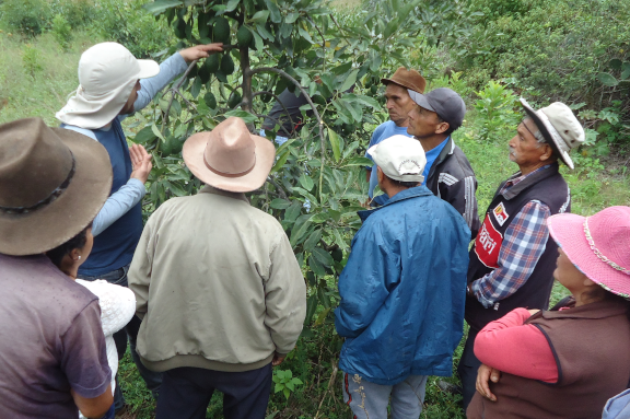imgen de nuestro trabajo