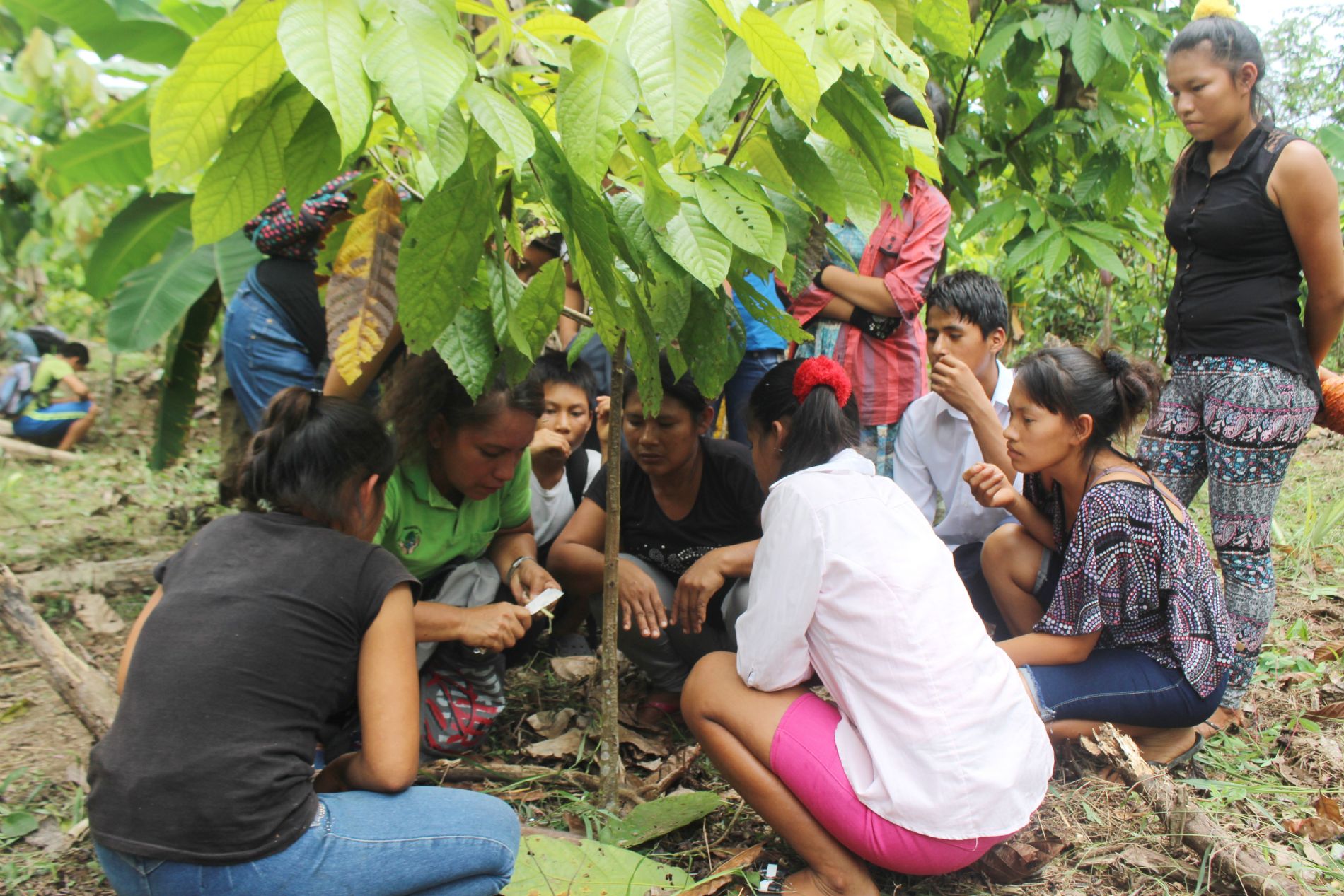 Gobernanza ambiental