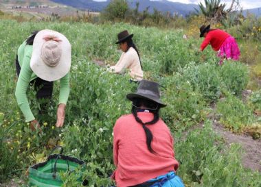 desarrollo econmico con poblaciones de dos mancomunidades de la cuenca media del ro Pachachaca