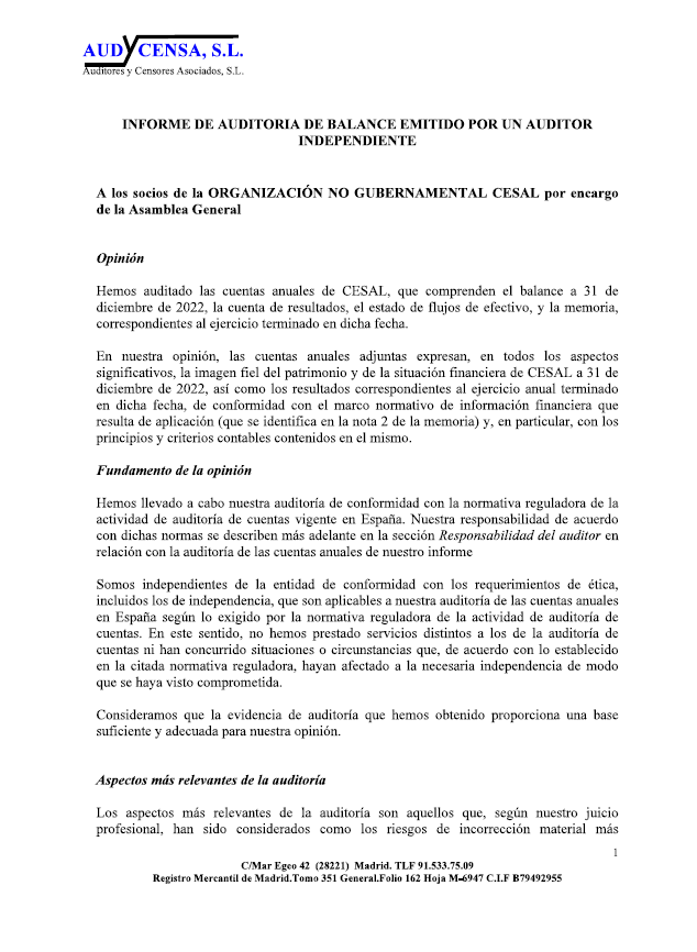 Informe de auditora y cuentas anuales cesal 2022