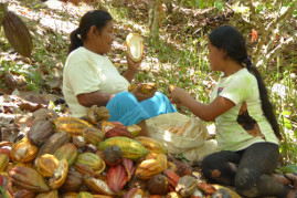 Mujeres indgenas