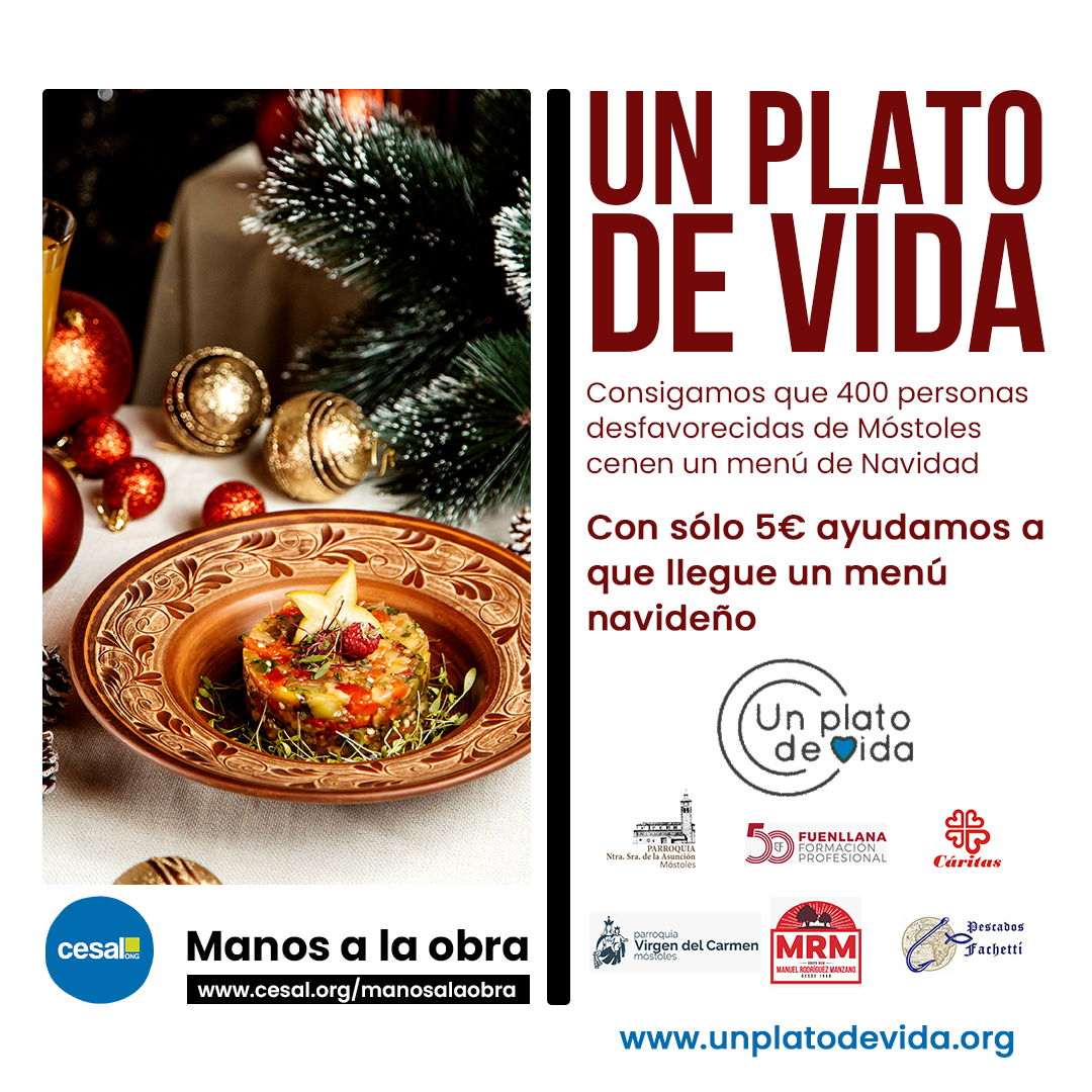 Un plato de vida Mstoles - Cesal