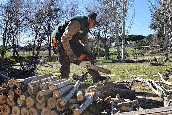 Nuevos cursos de formacin para jvenes de CESAL en Madrid