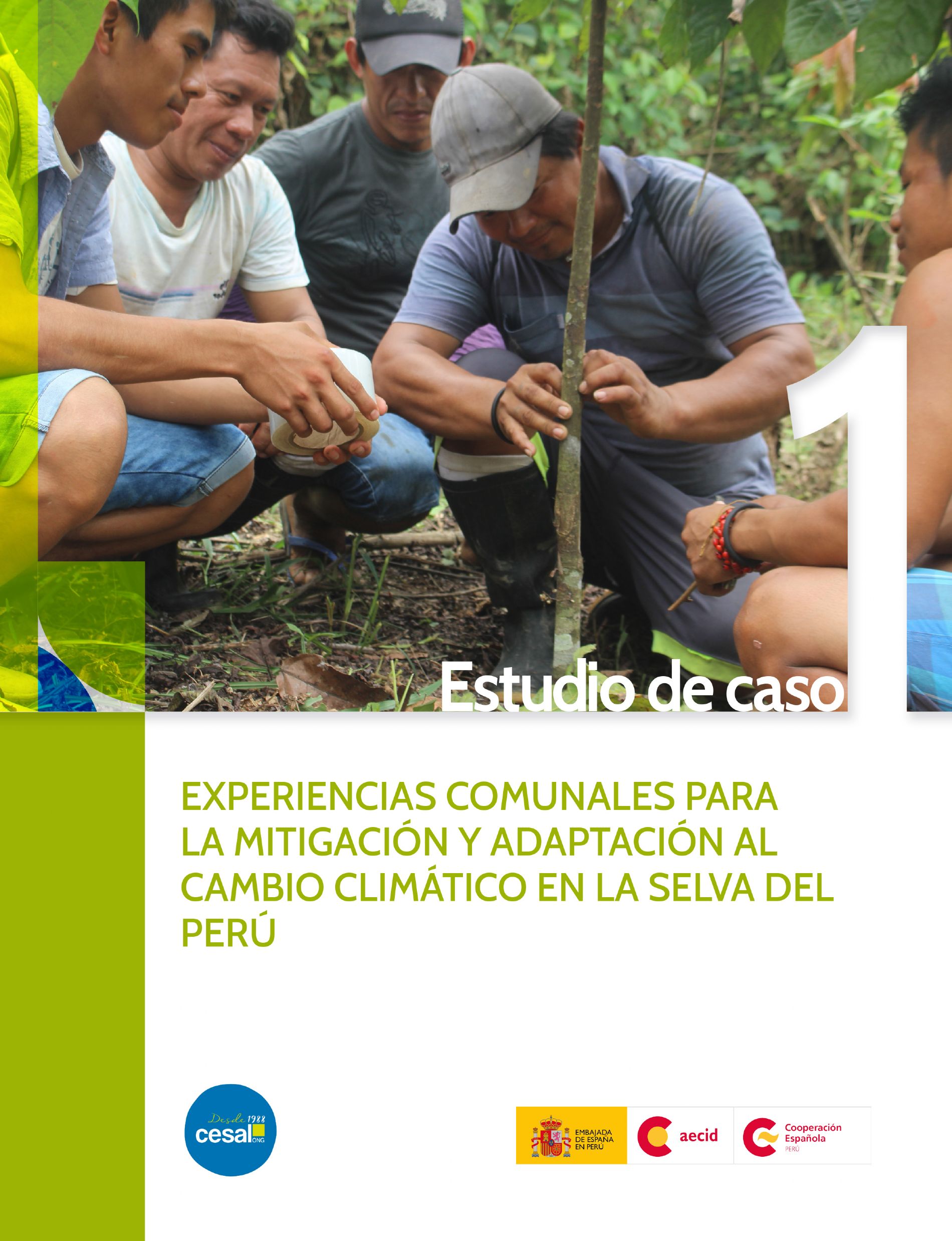 experiencias comunales
