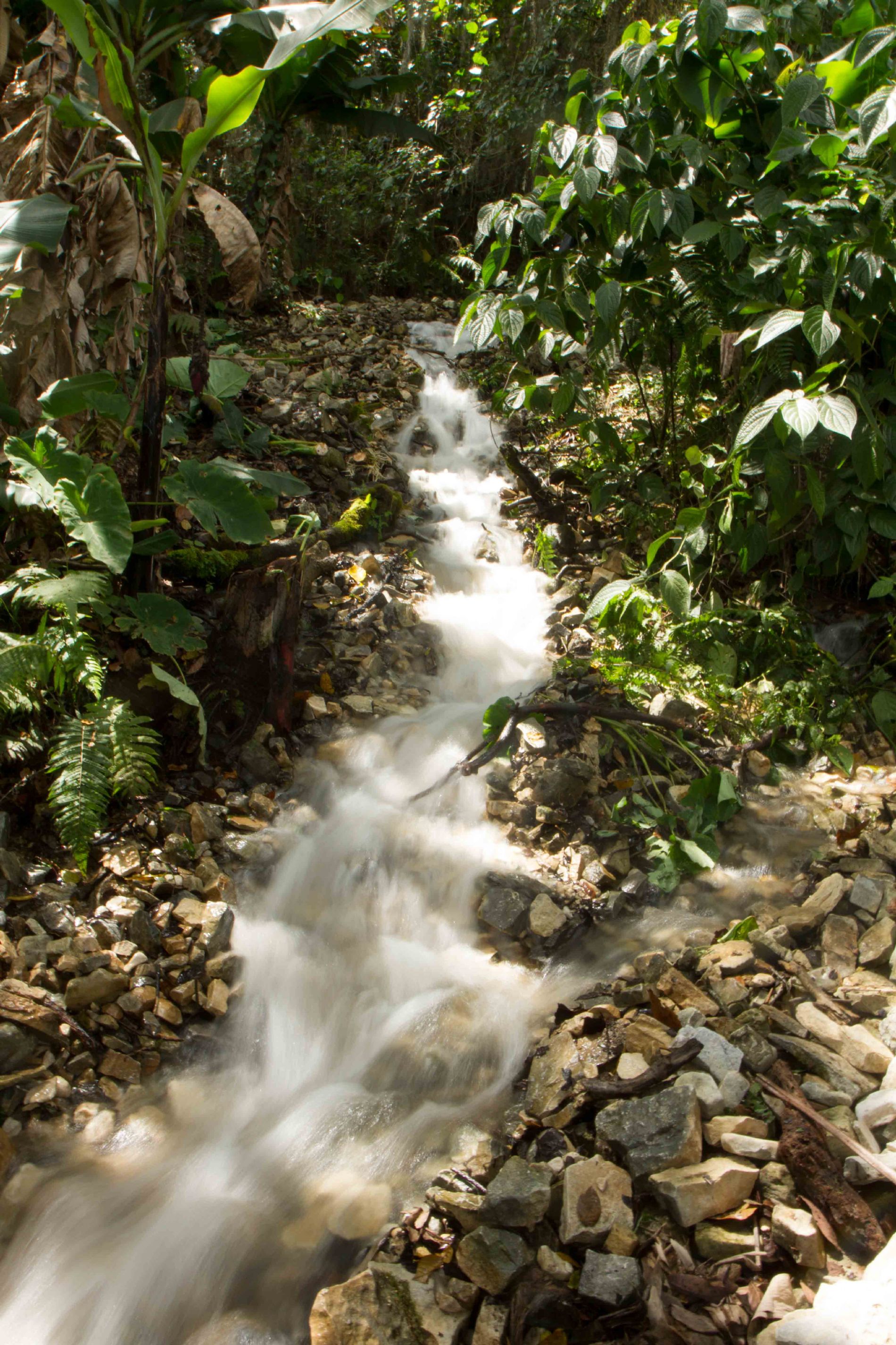 CONTRA EL HAMBRE Y LA POBREZA EN LA RESERVA DE BIOSFERA TRANSFRONTERIZA ENTRE REPBLICA DOMINICANA Y HAIT