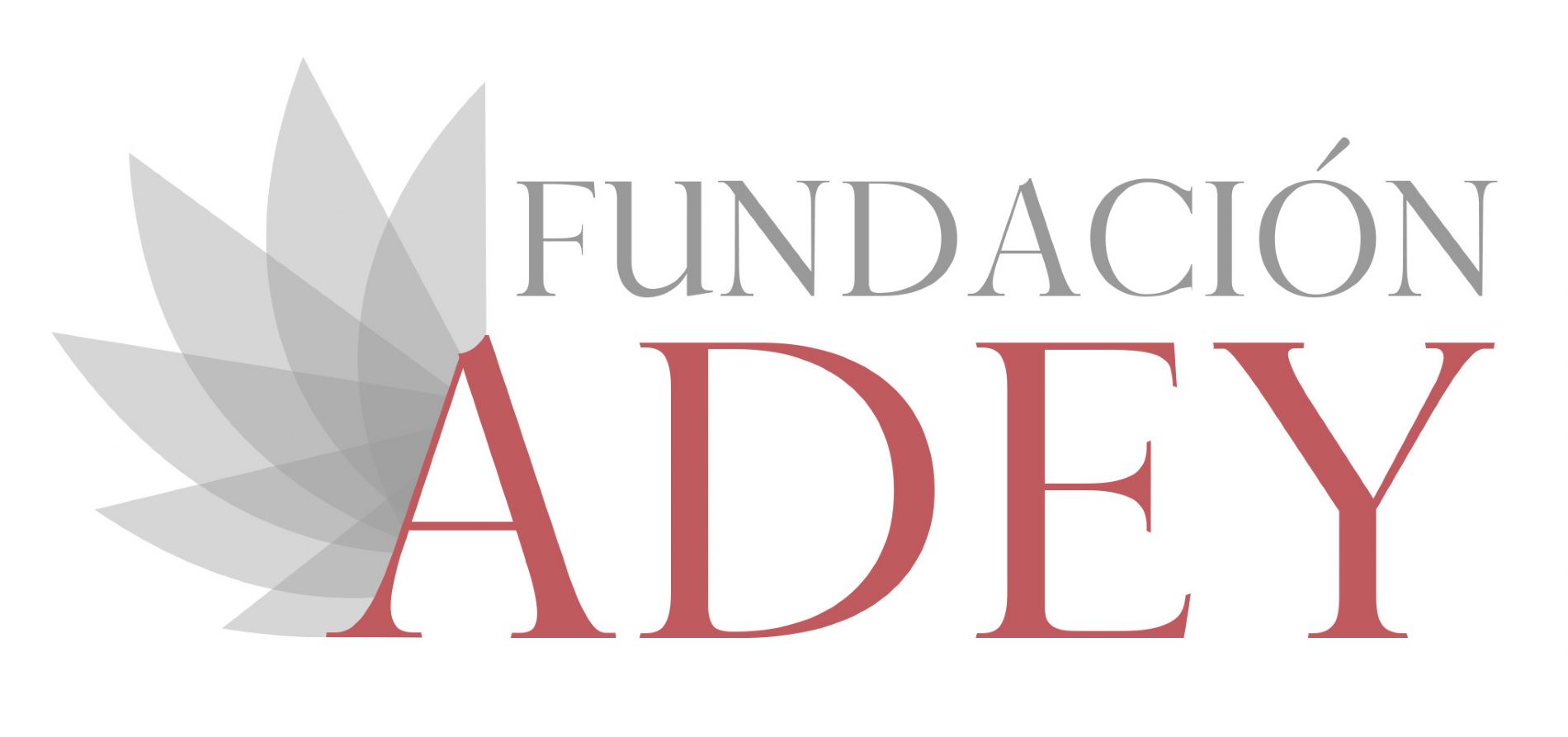 Fundación Adey