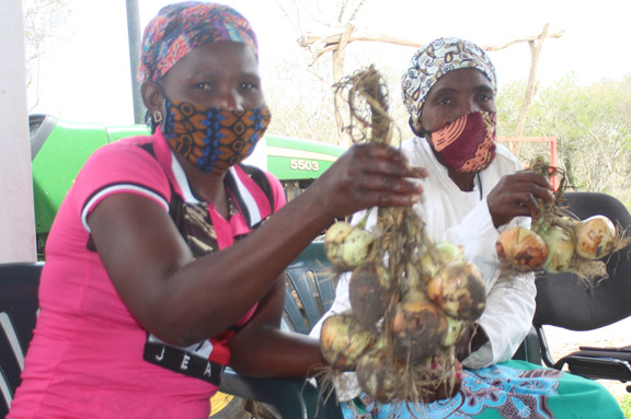 CESAL acerca a los pequeños agricultores del distrito de Matutuine a los mercados de la capital, Maputo