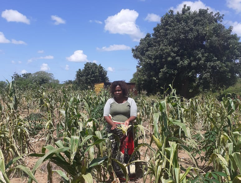 AGRICULTORAS CON UN NUEVO HORIZONTE DE TRABAJO EN MOZAMBIQUE